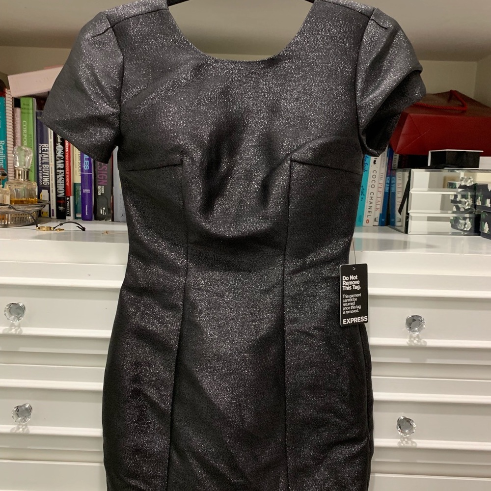 EXPRESS NWT PARTY DRESS